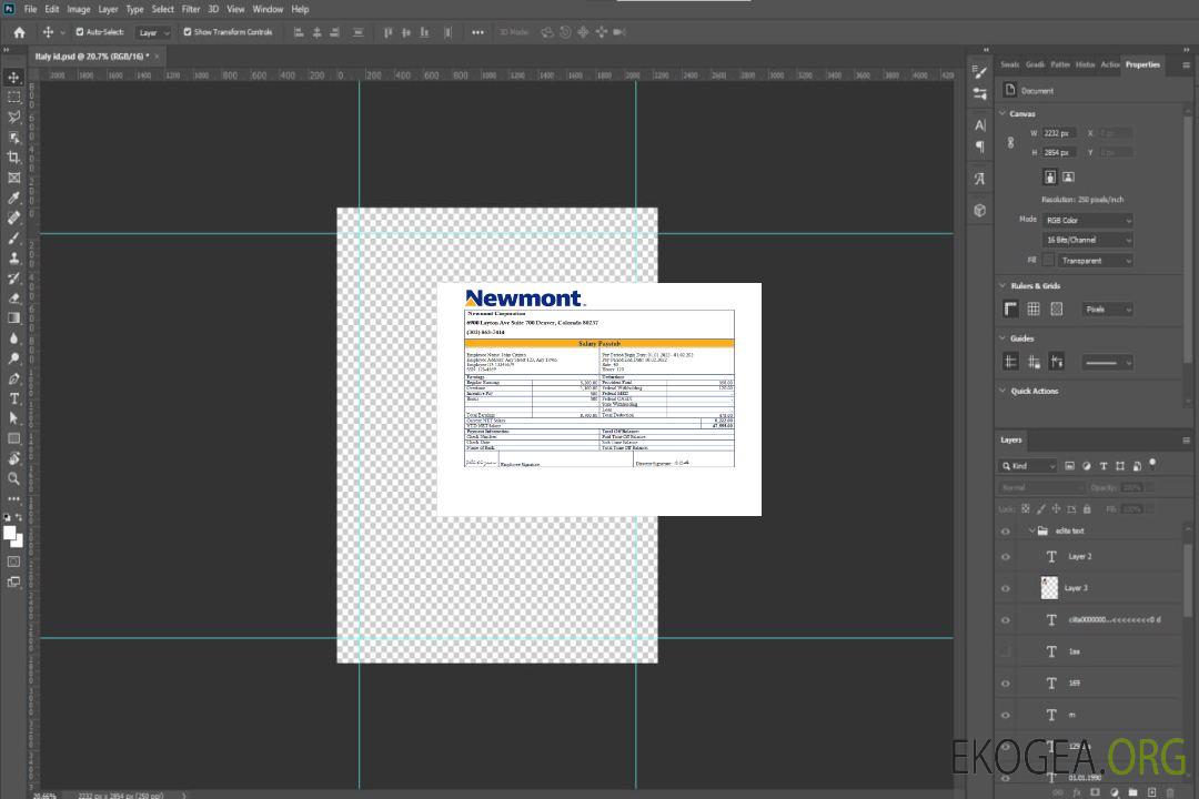 Bulletin de paie de la société minière USA Newmont Corporation template Bulletin de paie de la société minière USA Newmont Corporation template